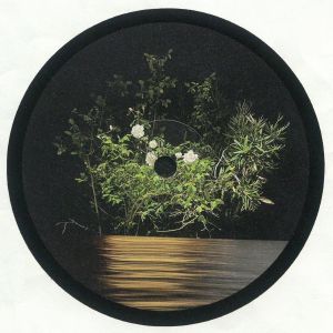 Fine Rise EP