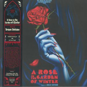 A Rose In The Garden Of Winter