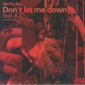 Don't Let Me Down