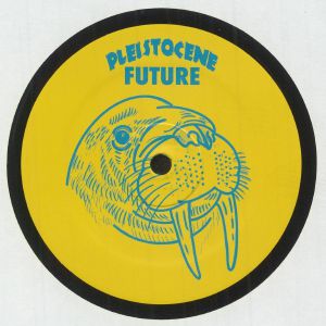 Pleistocene Future 7