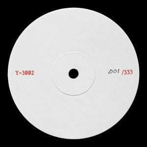 Y 3002