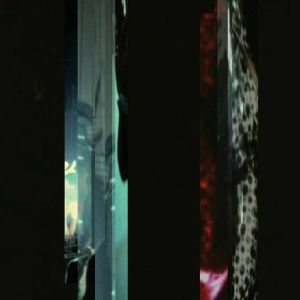 Beauty Reaps The Blood Of Solitude (reissue)