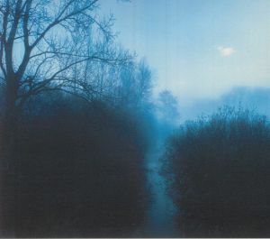 Blue Horizon