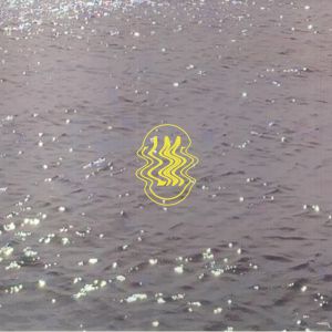 LM 001